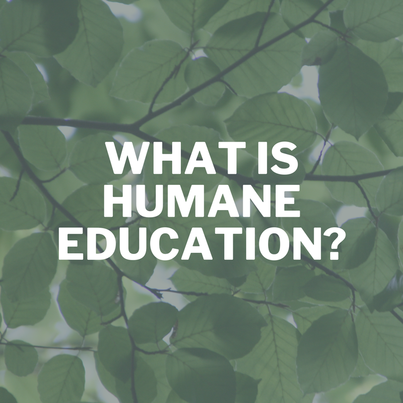What is humane education?