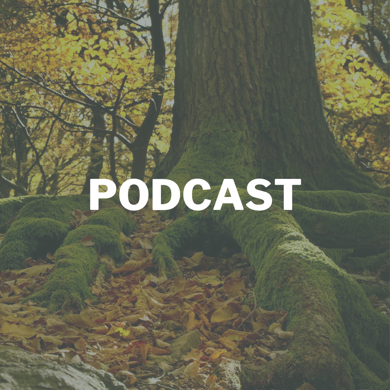 Podcast